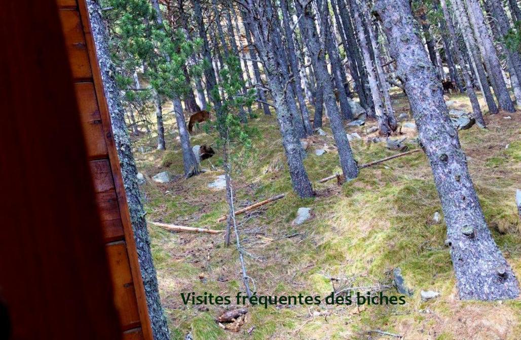 Chalet Vue sous cet Angles Extérieur photo